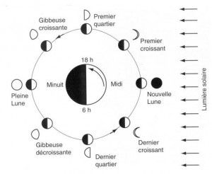 phases lune