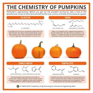 chimie-citrouille