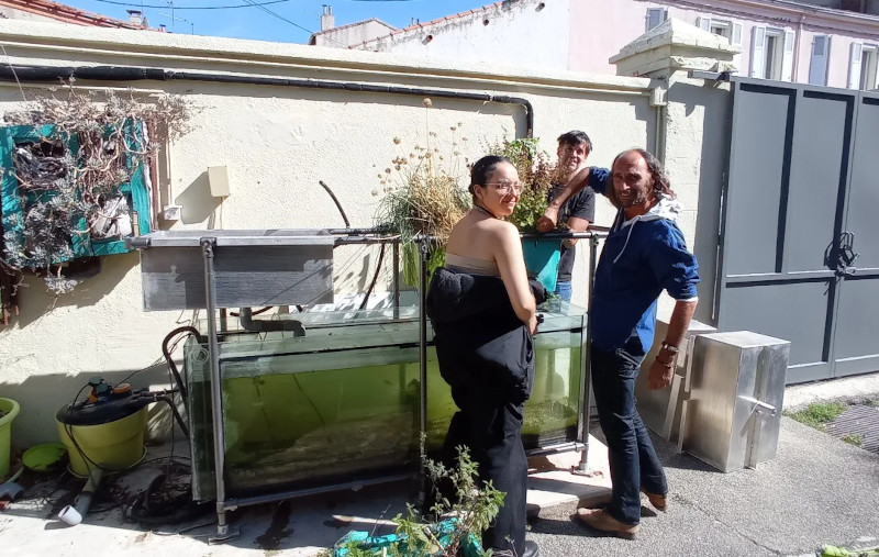 Aquaponie au lycée La Forbine