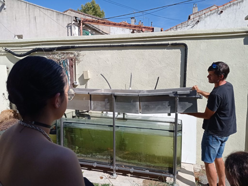 Aquaponie au lycée La Forbine